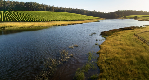 Wina z Margaret River